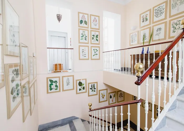 Duplex De La Botanica De Kadyks