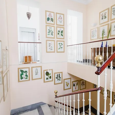 Duplex De La Botanica De Cádiz